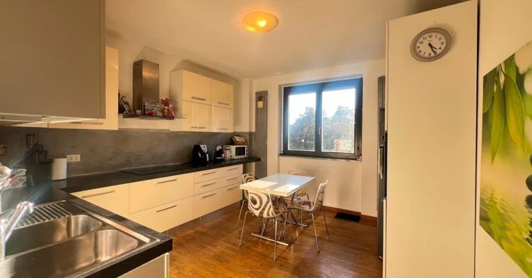 Servigo San Zenone trilo vendita 7