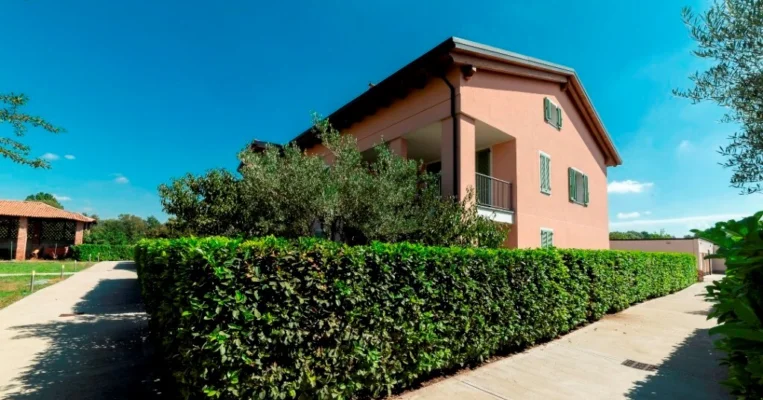 Servigo Verdi trilo vendita 11