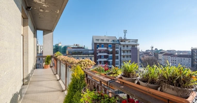 Servigo Buonarroti penta vendita 7